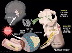 一键珍藏 | 非小细胞肺癌化疗的不良反映和常用药物